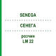 СЕНЕГА (SENEGA) LM 22 раствор 10 мл - Гомеопатия ARCANA DR.SEWERIN