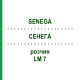 СЕНЕГА (SENEGA) LM 7 раствор 10 мл - Гомеопатия ARCANA DR.SEWERIN