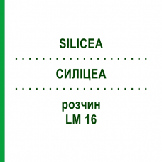 СИЛИЦЕА (SILICEA) LM 16 раствор 10 мл - Гомеопатия ARCANA DR.SEWERIN