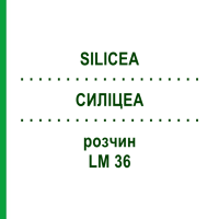 СИЛИЦЕА (SILICEA) LM 36 раствор 10 мл - Гомеопатия ARCANA DR.SEWERIN