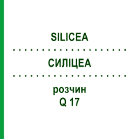 СИЛИЦЕА (SILICEA) Q 17 раствор 15 мл - Гомеопатия GUDJONS