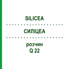 СИЛИЦЕА (SILICEA) Q 22 раствор 15 мл - Гомеопатия GUDJONS