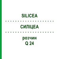 СИЛИЦЕА (SILICEA) Q 24 раствор 15 мл - Гомеопатия GUDJONS