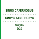 СИНУС КАВЕРНОЗУС (SINUS CAVERNOSUS) D 30 ампулы 10x1 мл - Гомеопатия WALA HEILMITTEL