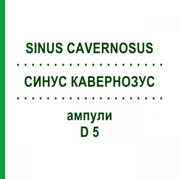СИНУС КАВЕРНОЗУС (SINUS CAVERNOSUS) D 5 ампулы 10x1 мл - Гомеопатия WALA HEILMITTEL
