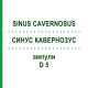 СИНУС КАВЕРНОЗУС (SINUS CAVERNOSUS) D 5 ампулы 10x1 мл - Гомеопатия WALA HEILMITTEL