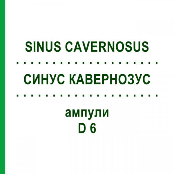 СИНУС КАВЕРНОЗУС (SINUS CAVERNOSUS) D 6 ампулы 10x1 мл - Гомеопатия WALA HEILMITTEL