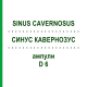СИНУС КАВЕРНОЗУС (SINUS CAVERNOSUS) D 6 ампулы 10x1 мл - Гомеопатия WALA HEILMITTEL