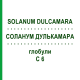 СОЛАНУМ ДУЛЬКАМАРА (SOLANUM DULCAMARA) C 6 глобули 10 г - Гомеопатія SPAGYRA