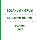 СОЛАНУМ НИГРУМ (SOLANUM NIGRUM) LM 1 раствор 10 мл - Гомеопатия ARCANA DR.SEWERIN