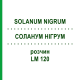 СОЛАНУМ НИГРУМ (SOLANUM NIGRUM) LM 120 раствор 10 мл - Гомеопатия ARCANA DR.SEWERIN
