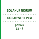 СОЛАНУМ НИГРУМ (SOLANUM NIGRUM) LM 17 раствор 10 мл - Гомеопатия ARCANA DR.SEWERIN
