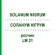 СОЛАНУМ НИГРУМ (SOLANUM NIGRUM) LM 21 раствор 10 мл - Гомеопатия ARCANA DR.SEWERIN