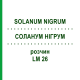 СОЛАНУМ НИГРУМ (SOLANUM NIGRUM) LM 26 раствор 10 мл - Гомеопатия ARCANA DR.SEWERIN