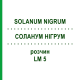 СОЛАНУМ НИГРУМ (SOLANUM NIGRUM) LM 5 раствор 10 мл - Гомеопатия ARCANA DR.SEWERIN