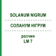 СОЛАНУМ НИГРУМ (SOLANUM NIGRUM) LM 7 раствор 10 мл - Гомеопатия ARCANA DR.SEWERIN