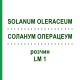 СОЛАНУМ ОЛЕРАЦЕУМ (SOLANUM OLERACEUM) LM 1 раствор 10 мл - Гомеопатия ARCANA DR.SEWERIN
