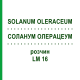 СОЛАНУМ ОЛЕРАЦЕУМ (SOLANUM OLERACEUM) LM 16 раствор 10 мл - Гомеопатия ARCANA DR.SEWERIN