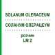 СОЛАНУМ ОЛЕРАЦЕУМ (SOLANUM OLERACEUM) LM 2 раствор 10 мл - Гомеопатия ARCANA DR.SEWERIN