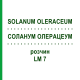 СОЛАНУМ ОЛЕРАЦЕУМ (SOLANUM OLERACEUM) LM 7 раствор 10 мл - Гомеопатия ARCANA DR.SEWERIN