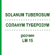 СОЛАНУМ ТУБЕРОЗУМ (SOLANUM TUBEROSUM) LM 15 раствор 10 мл - Гомеопатия ARCANA DR.SEWERIN