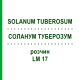 СОЛАНУМ ТУБЕРОЗУМ (SOLANUM TUBEROSUM) LM 17 раствор 10 мл - Гомеопатия ARCANA DR.SEWERIN