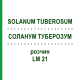 СОЛАНУМ ТУБЕРОЗУМ (SOLANUM TUBEROSUM) LM 21 раствор 10 мл - Гомеопатия ARCANA DR.SEWERIN