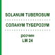 СОЛАНУМ ТУБЕРОЗУМ (SOLANUM TUBEROSUM) LM 24 раствор 10 мл - Гомеопатия ARCANA DR.SEWERIN