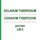 СОЛАНУМ ТУБЕРОЗУМ (SOLANUM TUBEROSUM) LM 4 раствор 10 мл - Гомеопатия ARCANA DR.SEWERIN