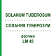 СОЛАНУМ ТУБЕРОЗУМ (SOLANUM TUBEROSUM) LM 45 раствор 10 мл - Гомеопатия ARCANA DR.SEWERIN