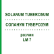 СОЛАНУМ ТУБЕРОЗУМ (SOLANUM TUBEROSUM) LM 7 раствор 10 мл - Гомеопатия ARCANA DR.SEWERIN