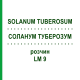 СОЛАНУМ ТУБЕРОЗУМ (SOLANUM TUBEROSUM) LM 9 раствор 10 мл - Гомеопатия ARCANA DR.SEWERIN