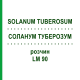 СОЛАНУМ ТУБЕРОЗУМ (SOLANUM TUBEROSUM) LM 90 раствор 10 мл - Гомеопатия ARCANA DR.SEWERIN
