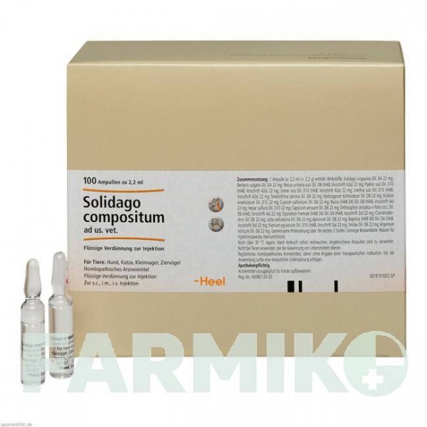 СОЛИДАГО КОМП (SOLIDAGO COMP) ампулы 100 шт - Гомеопатия BIOLOGISCHE HEILMITTEL HEEL
