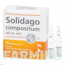 СОЛИДАГО КОМПОЗИТУМ (SOLIDAGO COMPOSITUM) ампулы 10 шт - Гомеопатия BIOLOGISCHE HEILMITTEL HEEL