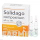 СОЛИДАГО КОМПОЗИТУМ (SOLIDAGO COMPOSITUM) ампулы 10 шт - Гомеопатия BIOLOGISCHE HEILMITTEL HEEL