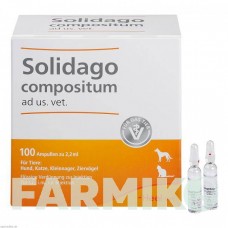 СОЛИДАГО КОМПОЗИТУМ (SOLIDAGO COMPOSITUM) ампулы 100 шт - Гомеопатия BIOLOGISCHE HEILMITTEL HEEL