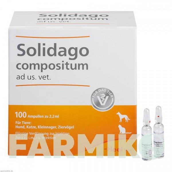 СОЛИДАГО КОМПОЗИТУМ (SOLIDAGO COMPOSITUM) ампулы 100 шт - Гомеопатия BIOLOGISCHE HEILMITTEL HEEL