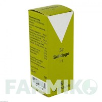 СОЛІДАГО (SOLIDAGO) краплі 50 мл - Гомеопатія NESTMANN PHARMA