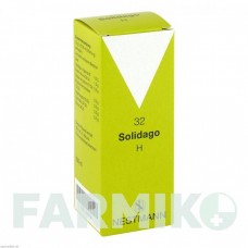 СОЛІДАГО (SOLIDAGO) краплі 100 мл - Гомеопатія NESTMANN PHARMA