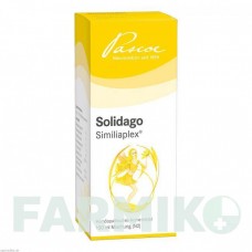 СОЛИДАГО СИМИЛИАПЛЕКС (SOLIDAGO SIMILIAPLEX) капли 100 мл - Гомеопатия PASCOE