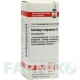 СОЛИДАГО ВИРГАУРА (SOLIDAGO VIRGAUREA) C 200 глобули 10 г - Гомеопатия DHU