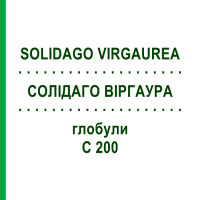 СОЛИДАГО ВИРГАУРА (SOLIDAGO VIRGAUREA) C 200 глобули 1,5 г - Гомеопатия GUDJONS
