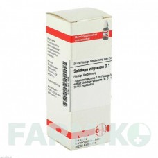 СОЛИДАГО ВИРГАУРА (SOLIDAGO VIRGAUREA) D 1 раствор 20 мл - Гомеопатия DHU