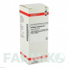 СОЛИДАГО ВИРГАУРА (SOLIDAGO VIRGAUREA) D 4 раствор 50 мл - Гомеопатия DHU