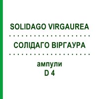 СОЛІДАГО ВІРГАУРА (SOLIDAGO VIRGAUREA) D 4 ампули 8x1 мл - Гомеопатія DHU