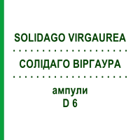 СОЛИДАГО ВИРГАУРА (SOLIDAGO VIRGAUREA) D 6 ампулы 8x1 мл - Гомеопатия DHU