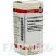 СОЛИДАГО ВИРГАУРА (SOLIDAGO VIRGAUREA) D 8 глобули 10 г - Гомеопатия DHU