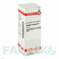 СОЛИДАГО ВИРГАУРА (SOLIDAGO VIRGAUREA) раствор 20 мл - Гомеопатия DHU