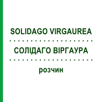 СОЛІДАГО ВІРГАУРА (SOLIDAGO VIRGAUREA) розчин 50 мл - Гомеопатія HANOSAN